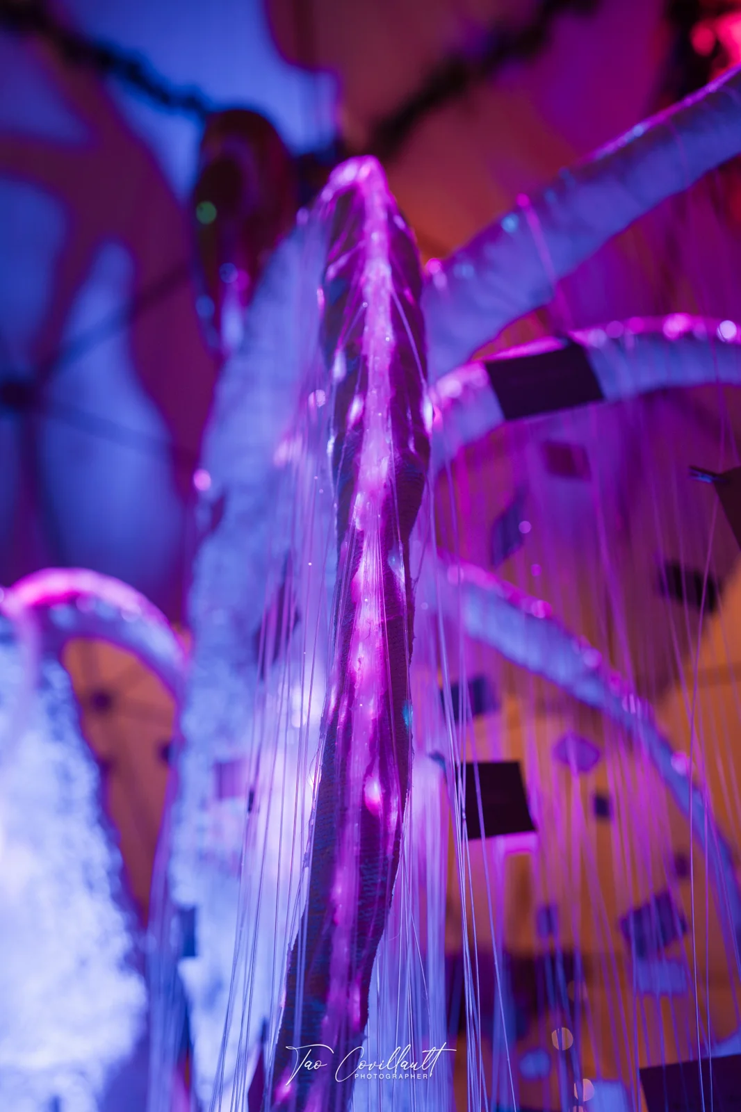 Heal Play Love 2026 — Dome — event photograph 28