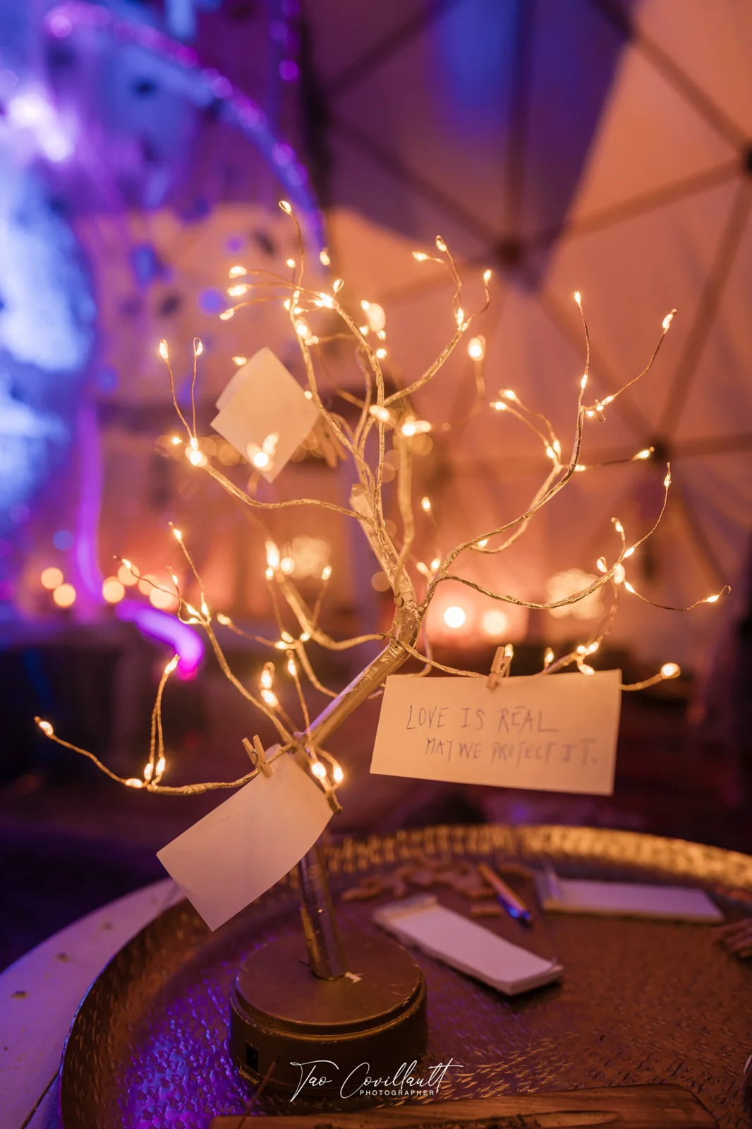 Heal Play Love 2026 — Dome — event photograph 25