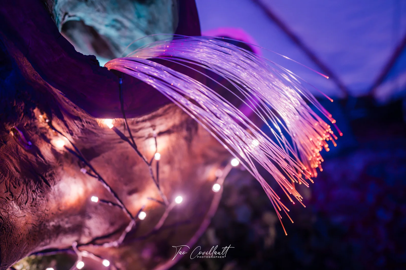 Heal Play Love 2026 — Dome — event photograph 17