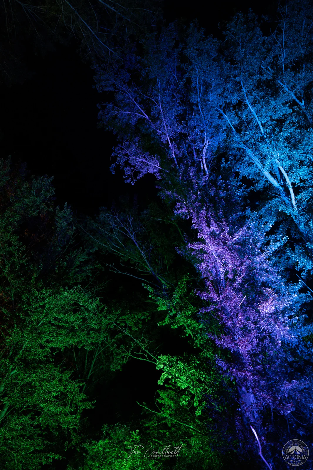 Acronia Festival 2023 — event photograph 864