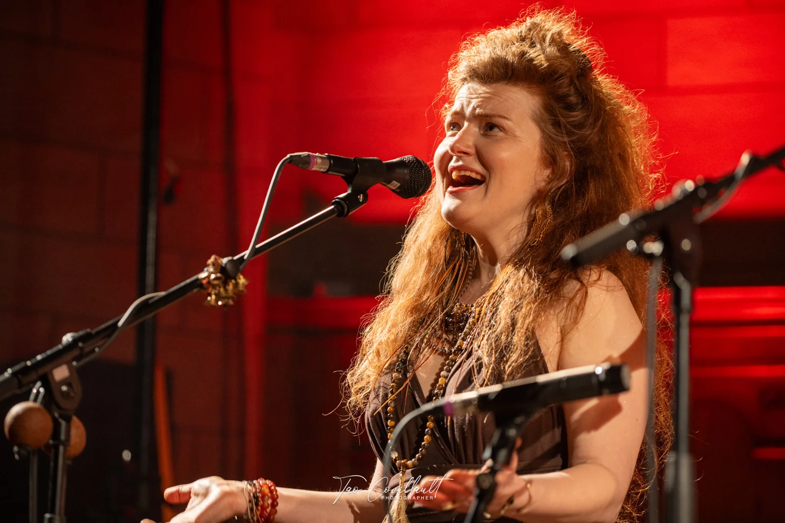 Laboratorium Pieśni — Live in Zurich — event photograph 45