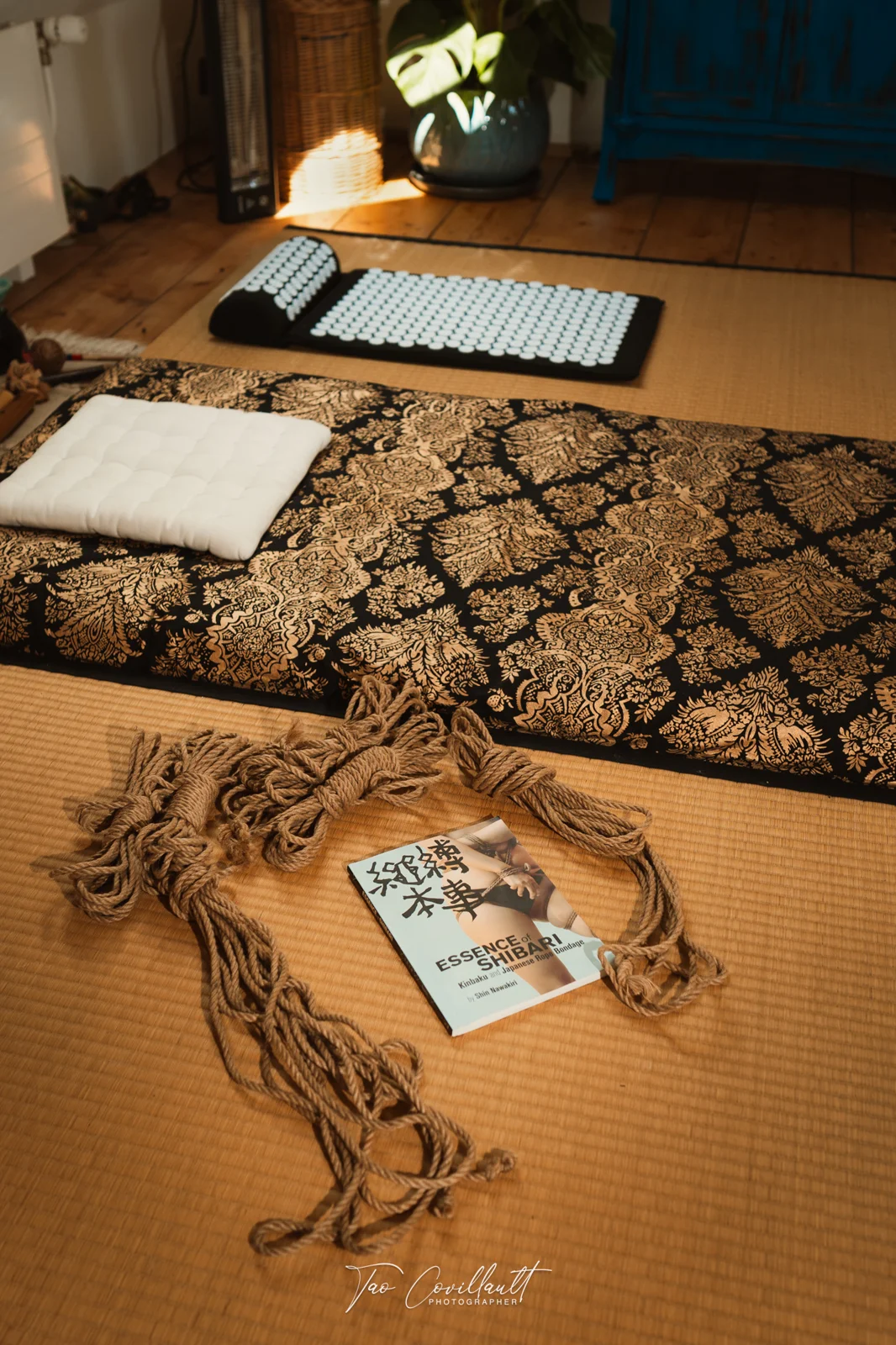 Elise — Massage & Shibari session — photograph 17
