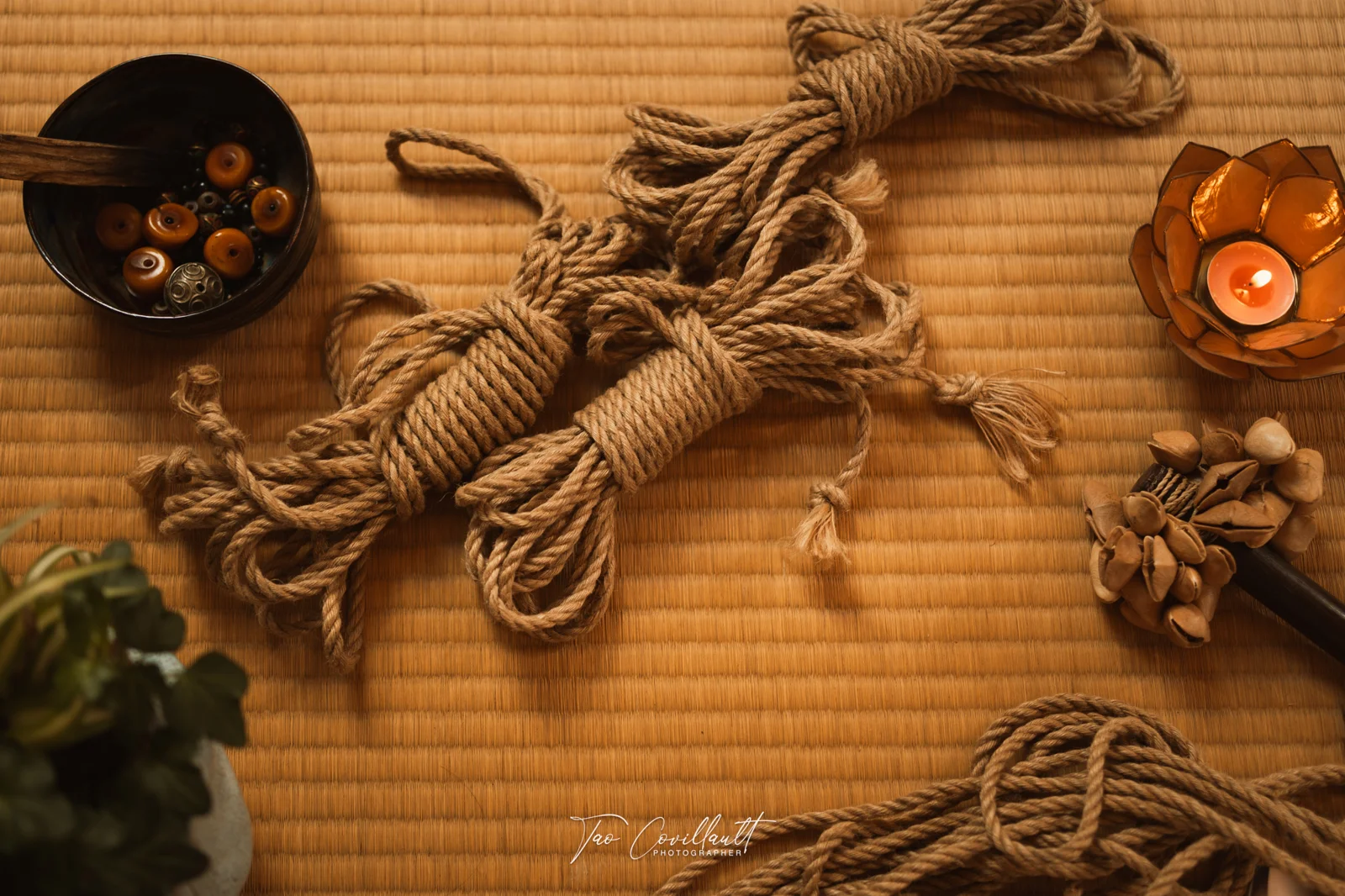 Elise — Massage & Shibari session — photograph 19
