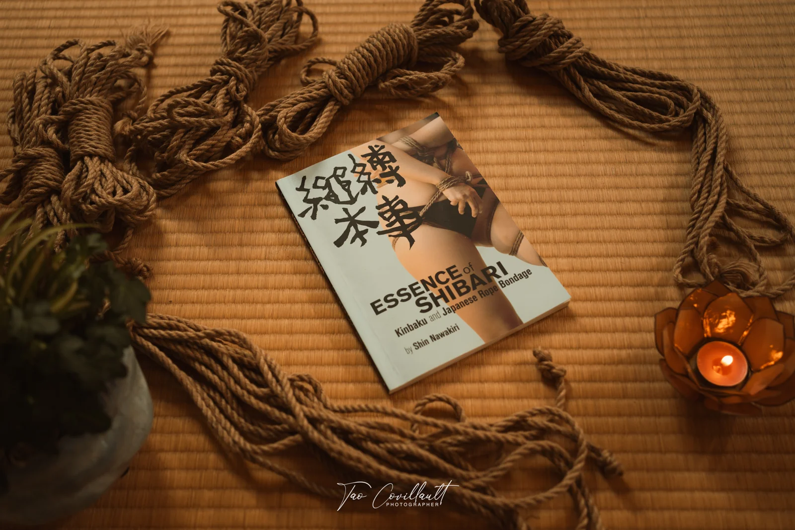 Elise — Massage & Shibari session — photograph 18