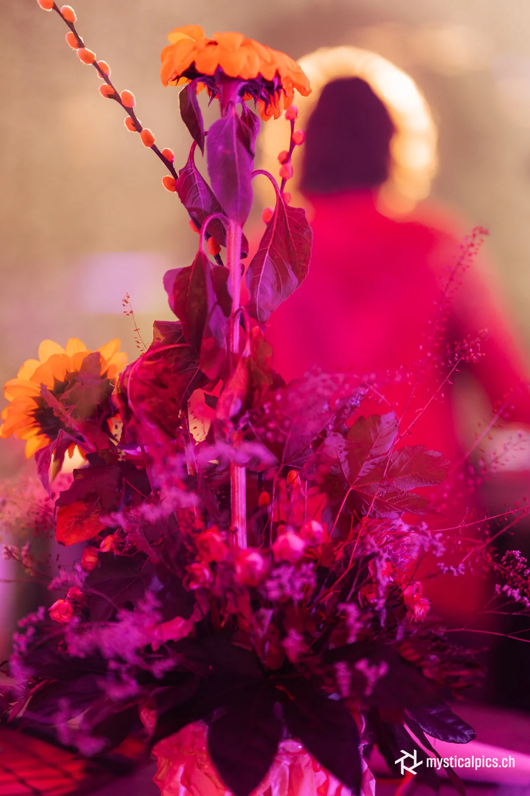 Mose — Live in Zurich — event photograph 140