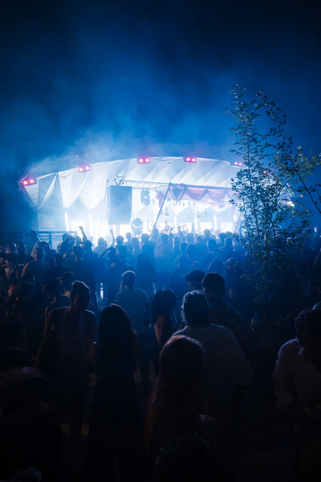 Albanifest 2026 — event photograph 20