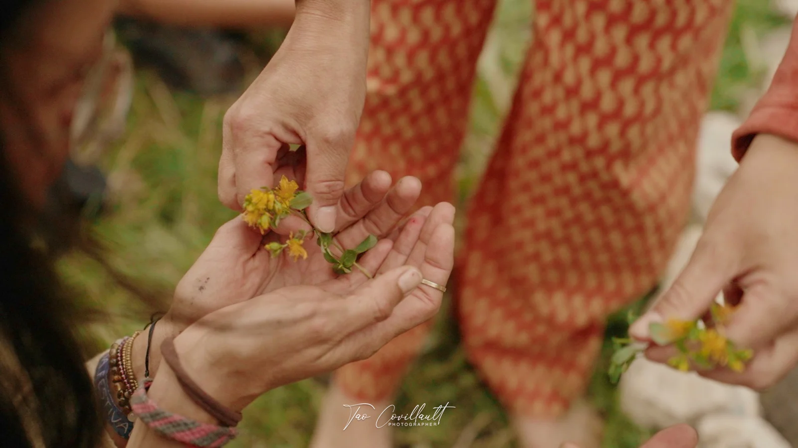 Pachamama Festival 2024 — event photograph 44