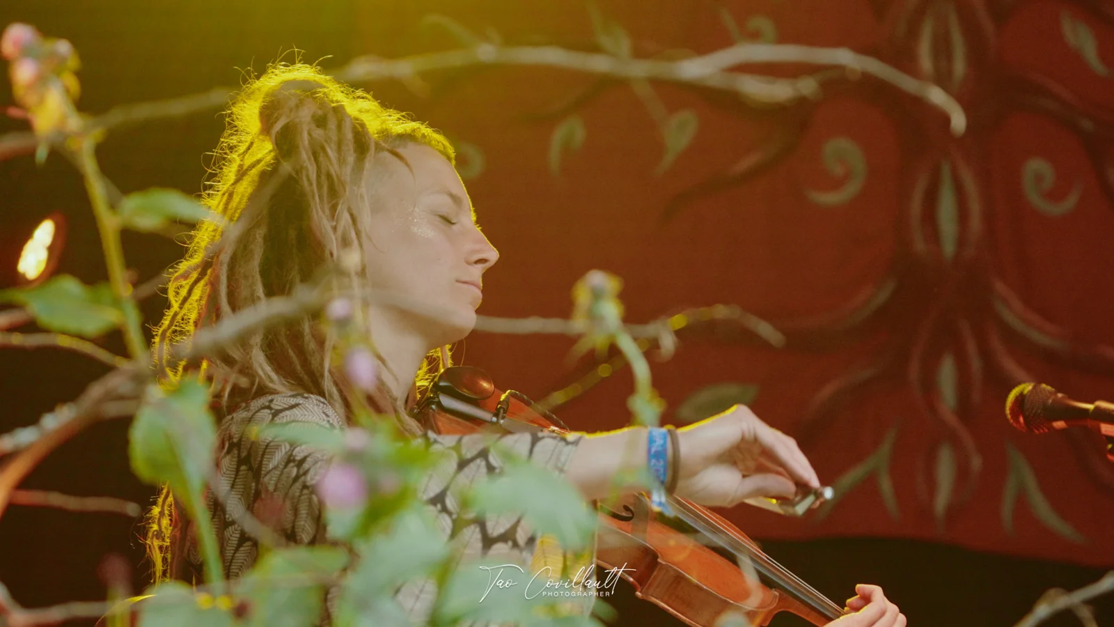 Pachamama Festival 2024 — event photograph 66