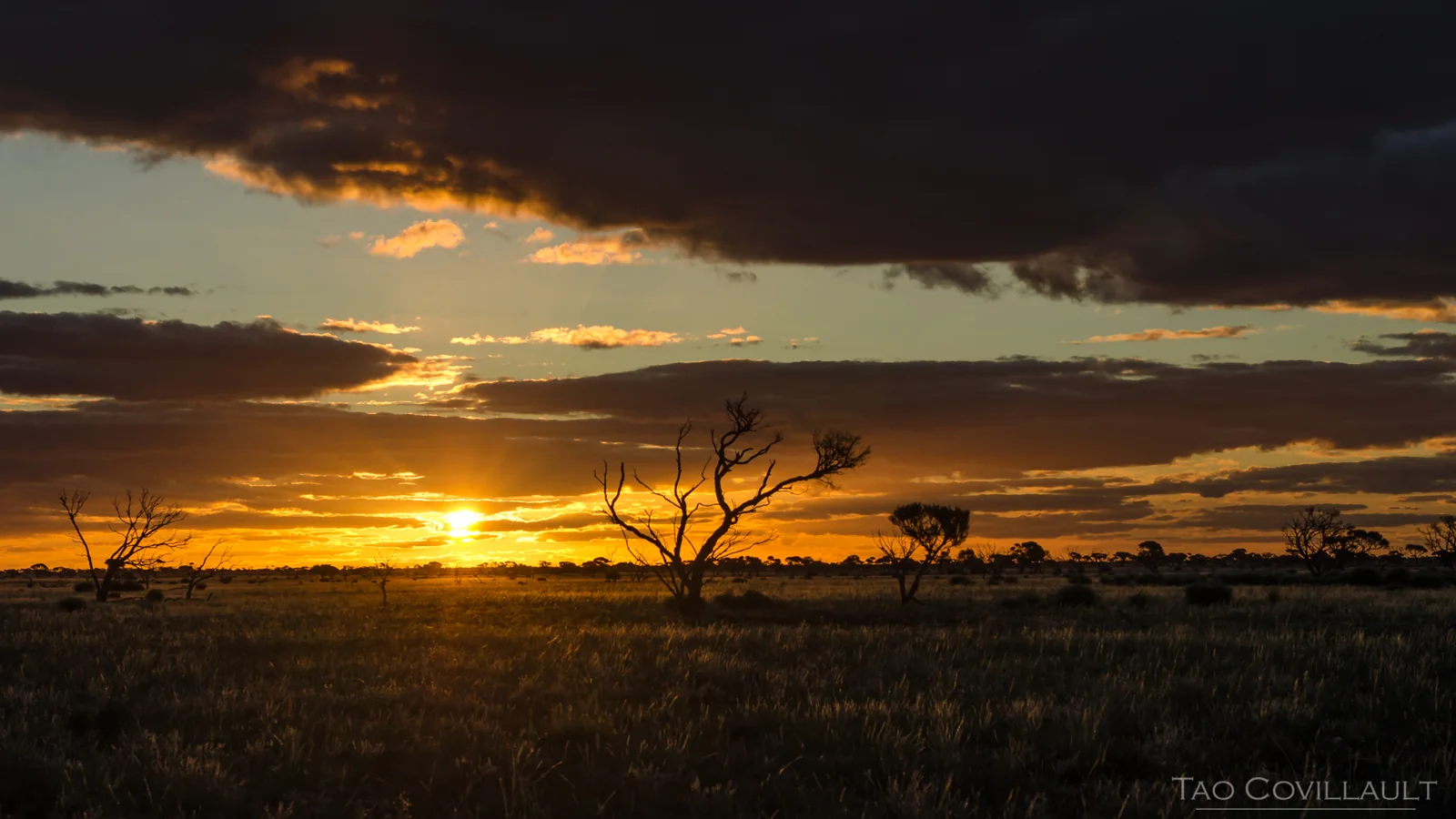 Orange sunset behind silhouetted trees and dark clouds