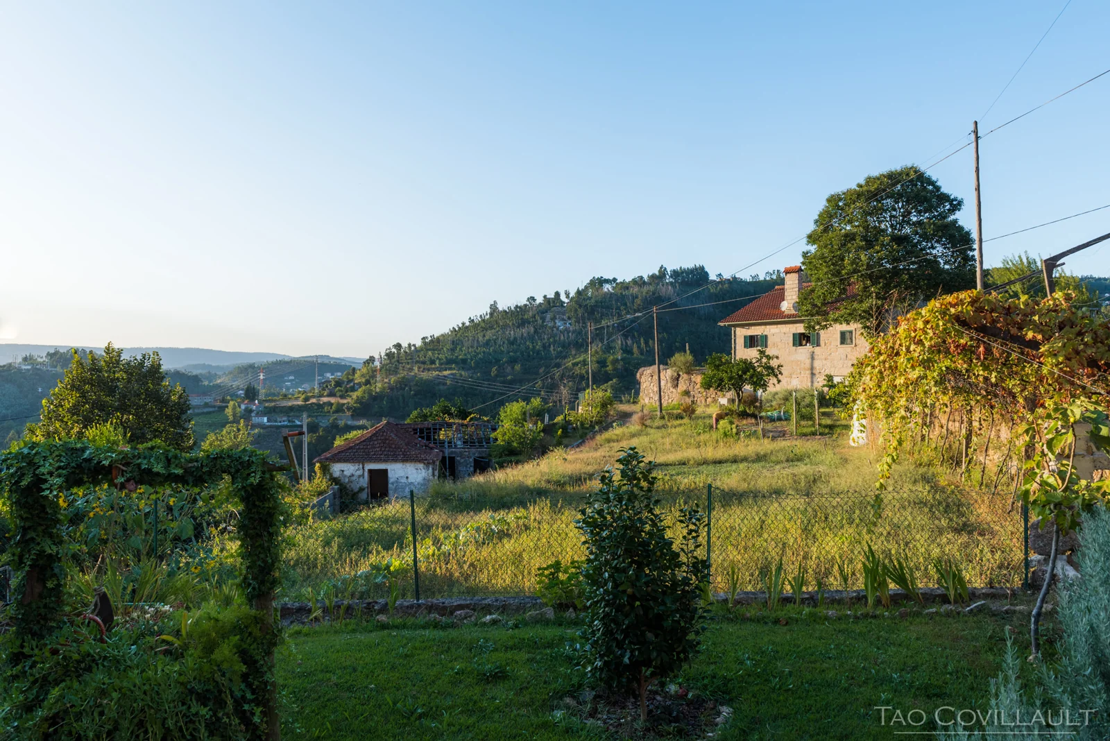 A sunlit garden and hillside houses in the Portuguese countryside.