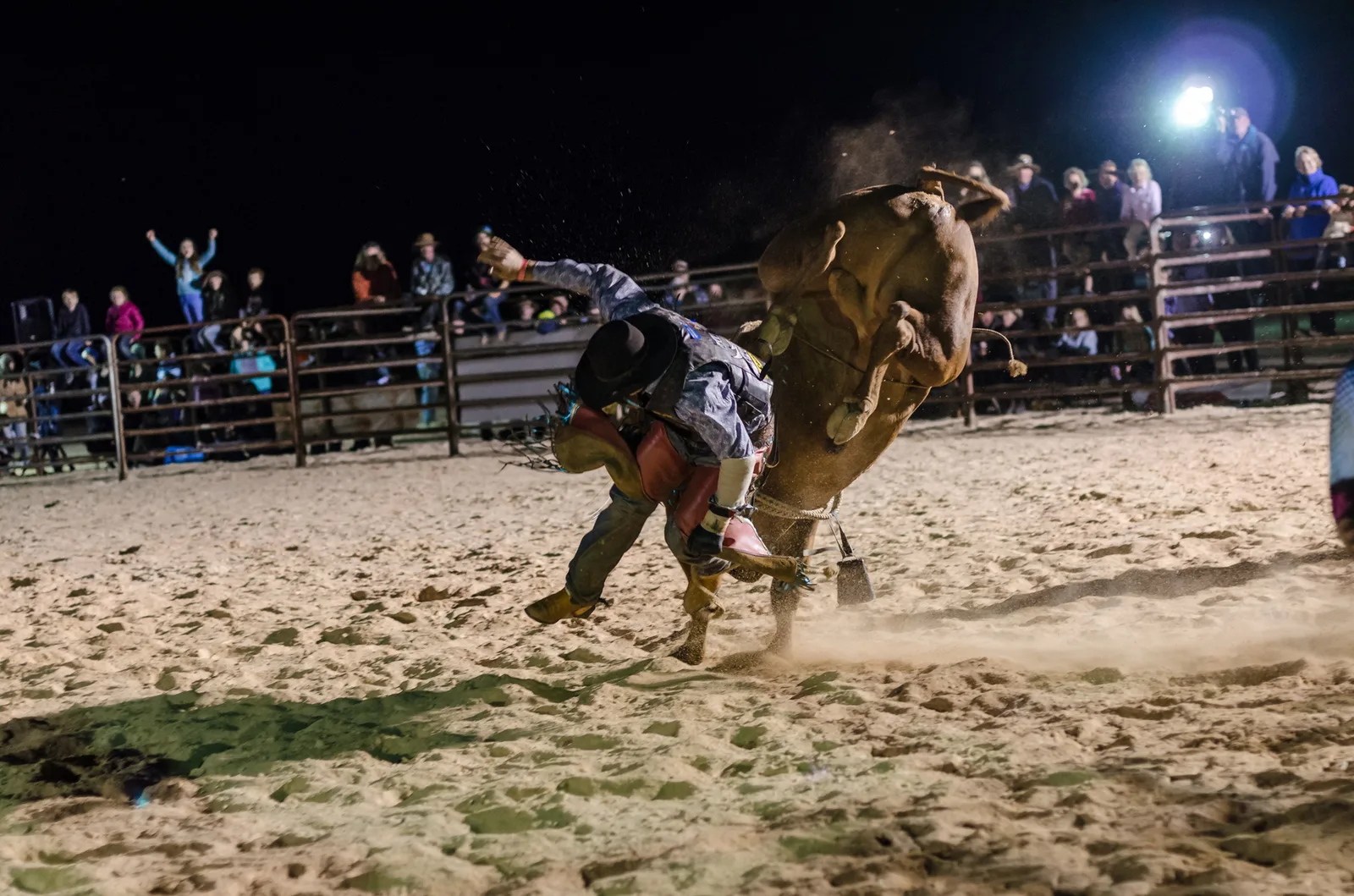 Bull bucking as a rider falls toward the arena sand.