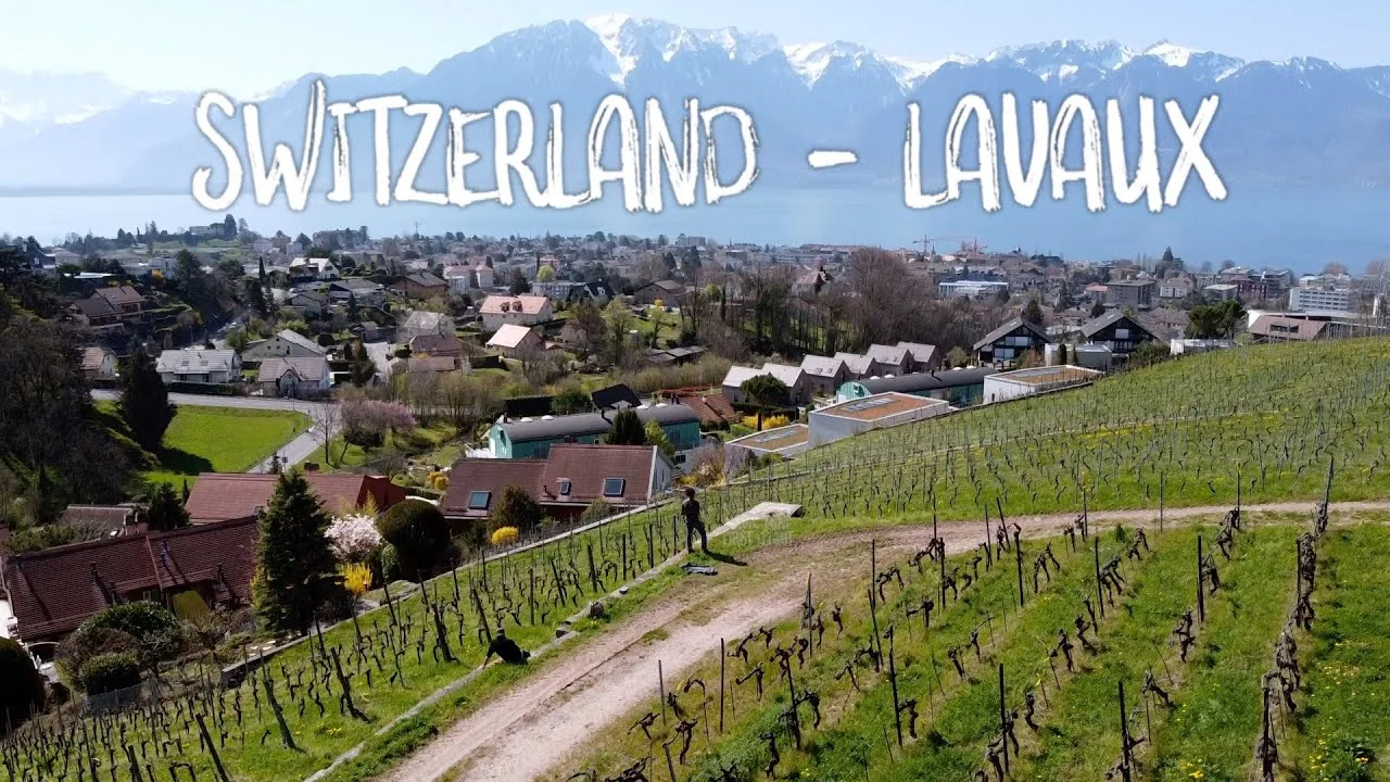 Switzerland  *Lavaux* - Mavic Mini Test — official video poster